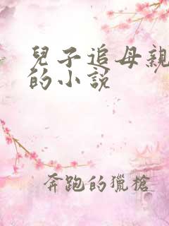 儿子追母亲成功的小说