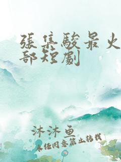 张集骏最火的5部短剧