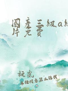 国产三级a级一片免费