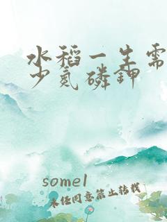 水稻一生需要多少氮磷钾