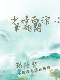 少妇白洁 小说 笔趣阁