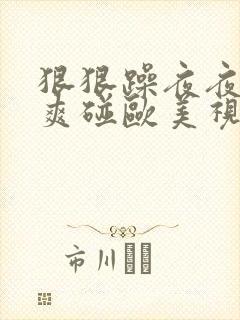 狠狠躁夜夜躁人爽碰欧美视频