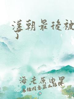 汉朝最后被谁灭了