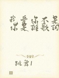 我爱你不是因为你是谁歌词