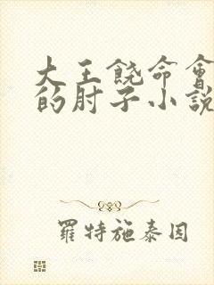 大王饶命会说话的肘子小说无删减版
