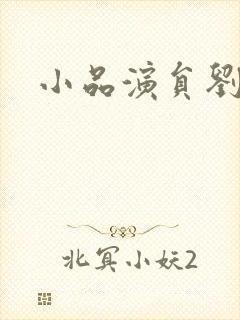 小品演员刘洋