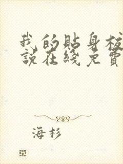 我的贴身校花小说在线免费看