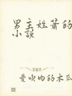 男主姓萧的古代小说