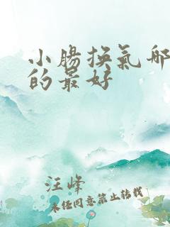 小肠换气哪里治的最好