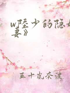 w陆少的隐婚罪妻》