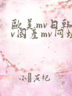 欧美mv日韩mv国产mv网址