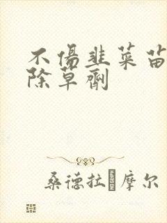 不伤韭菜苗专用除草剂
