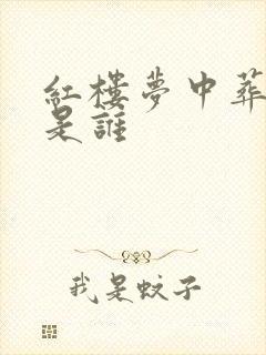 红楼梦中葬花的是谁