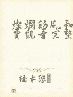 灿烂的风和海免费观看完整版