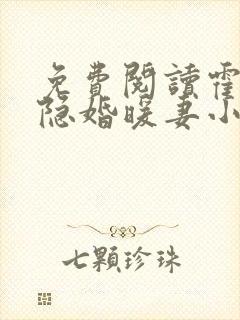 免费阅读霍爷的隐婚暖妻小说