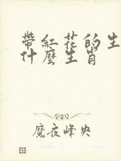 带红花的生肖是什么生肖