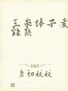 玉米棒子煮多久能熟