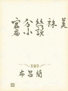 官分丝袜美腿长篇小说