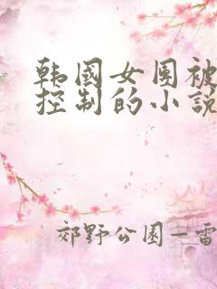 韩国女团被财阀控制的小说