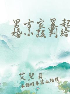 男方家暴起诉离婚小孩判给谁