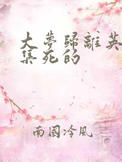 大梦归离英磊几集死的