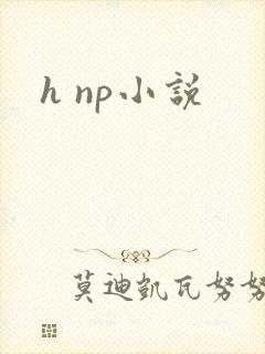h np小说