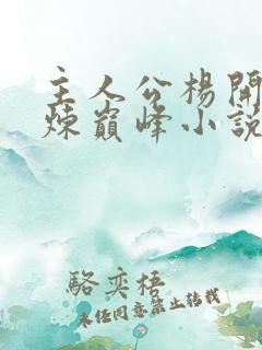 主人公杨开的武炼巅峰小说