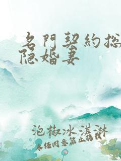 名门契约总裁的隐婚妻