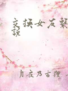 交换女友系列小说