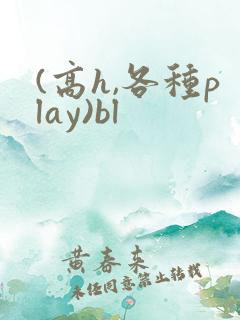 (高h,各种play)bl