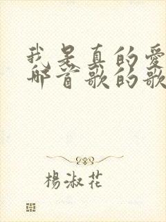 我是真的爱你是哪首歌的歌词