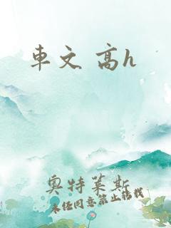 车文 高h