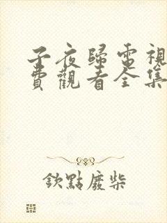 子夜归电视剧免费观看全集高清第22
