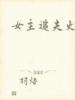 女主追夫火葬场