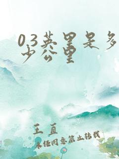 0.3英里是多少公里