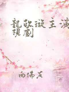 龙政璇主演的电视剧