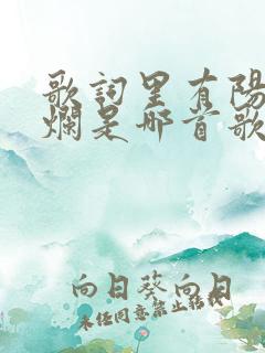 歌词里有阳光灿烂是哪首歌