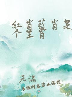 红肖蓝肖是哪几个生肖