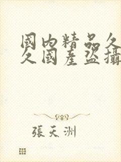 国内精品久久久久国产盗摄