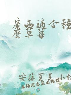 广西适合种植什么草莓