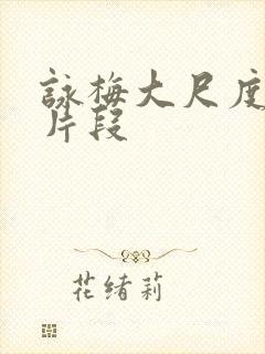 咏梅大尺度床戏片段