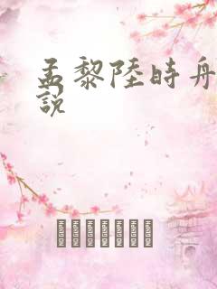孟黎陆时舟的小说