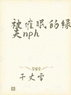 被催眠的绿帽夫夫nph
