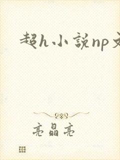 超h小说np文