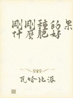 刚刚种的果树施什么肥好