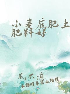 小麦底肥上什么肥料好