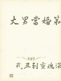 大男当婚第二部