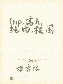 (np,高h,纯肉,校园 (np,高h,纯肉,校园