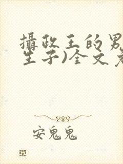 摄政王的男妃(生子)全文免费阅读
