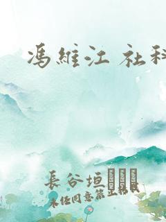 冯维江 社科院